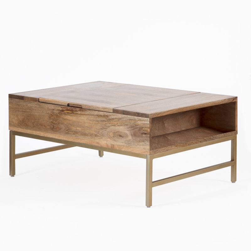Kassidy Lift Top Coffee Table with Storage & Reviews AllModern